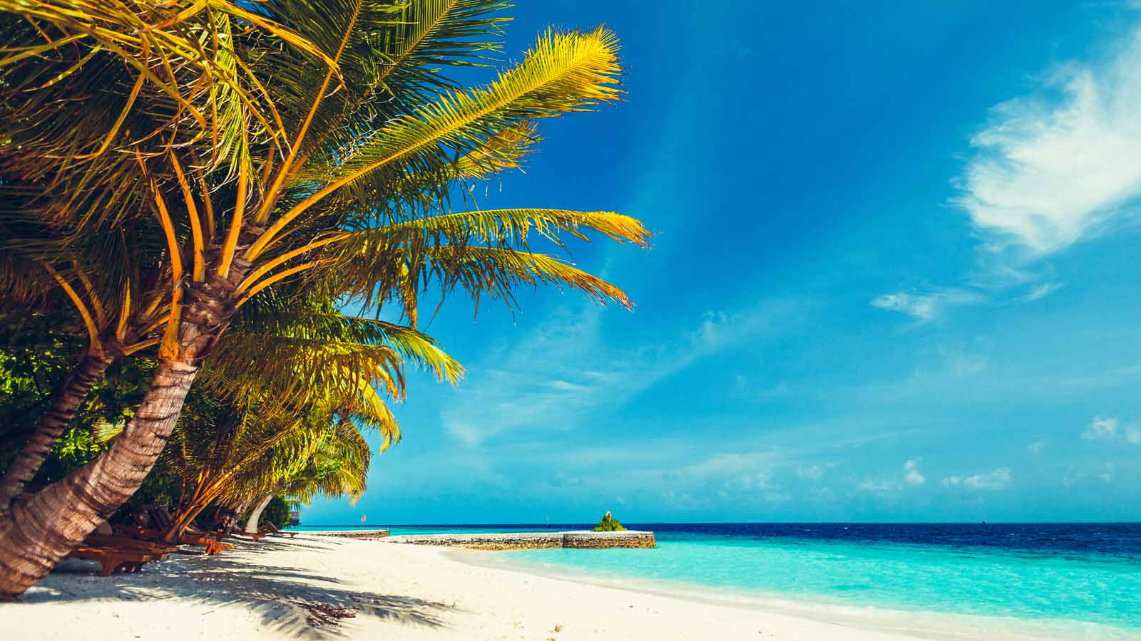 Africa Safari and beach