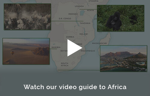 Africa safari planning with the experts