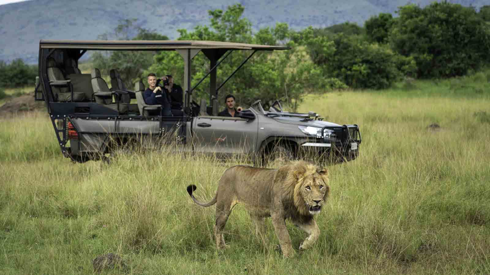 Africa Honeymoon