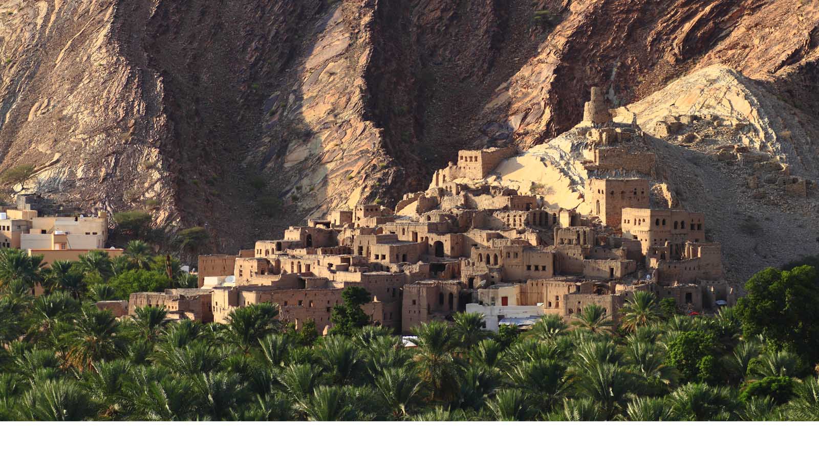 Africa Safari and beach