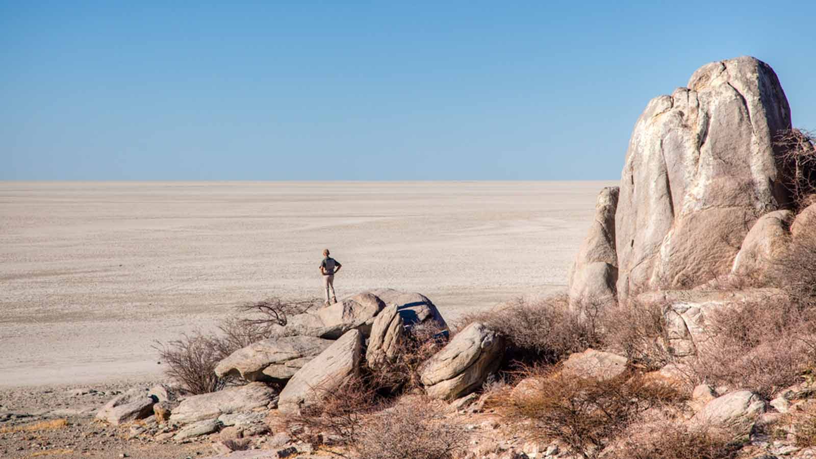 Africa Safari and beach