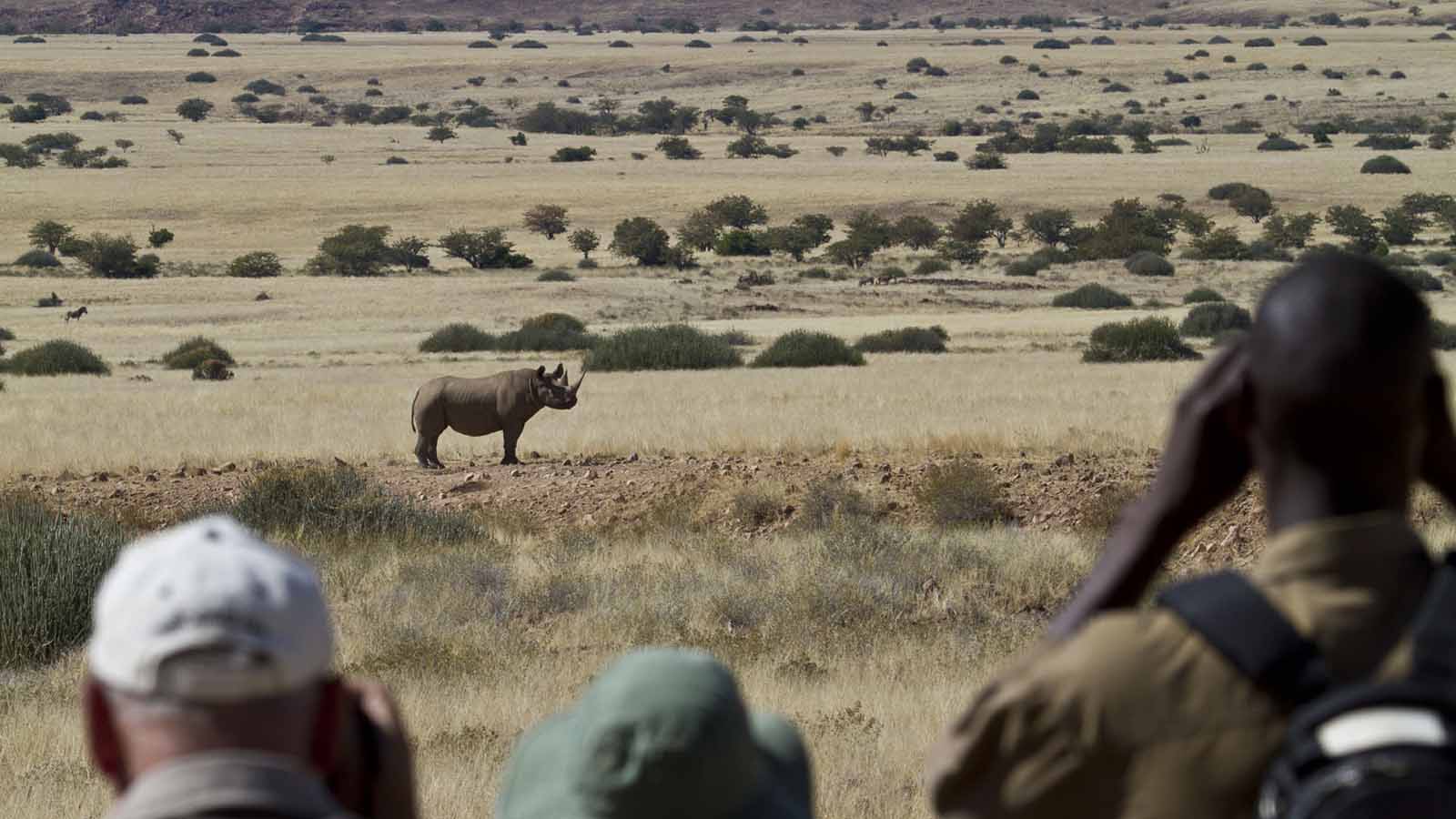 Damaraland | Namibia Holidays & Safaris | Africa Odyssey