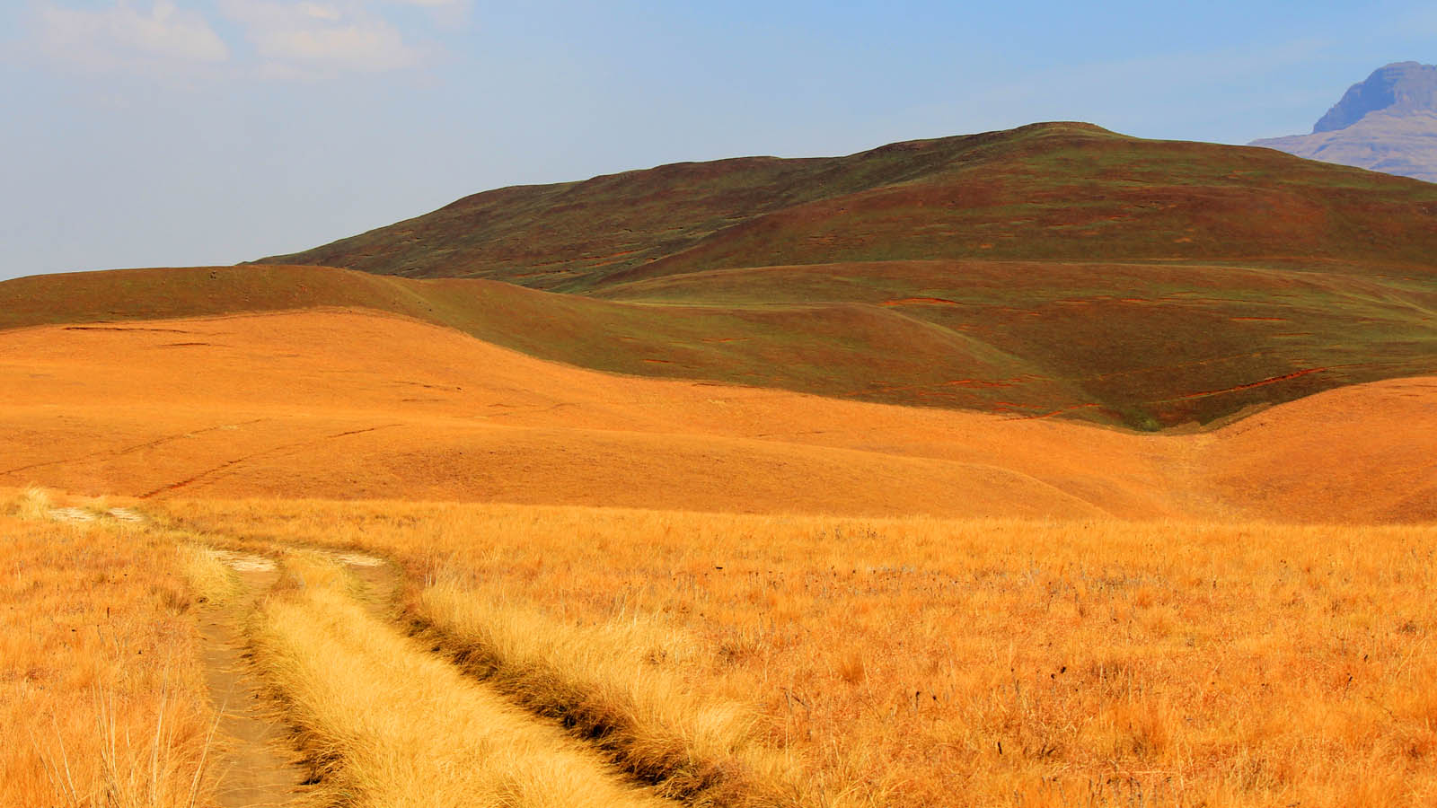 Africa Safari and beach