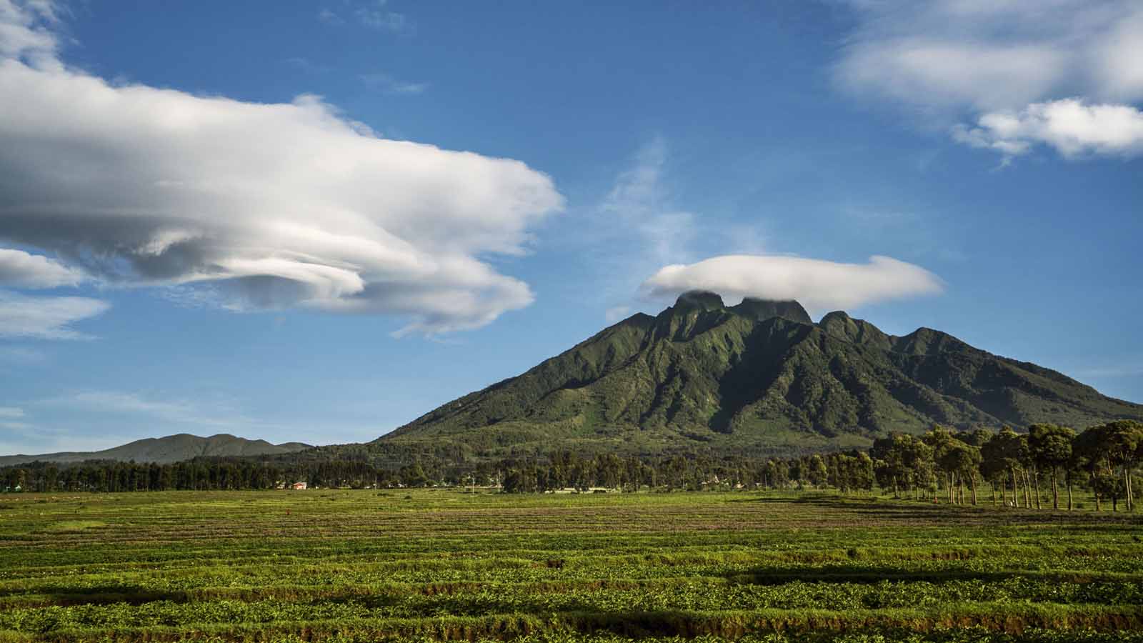 Africa Safari and beach