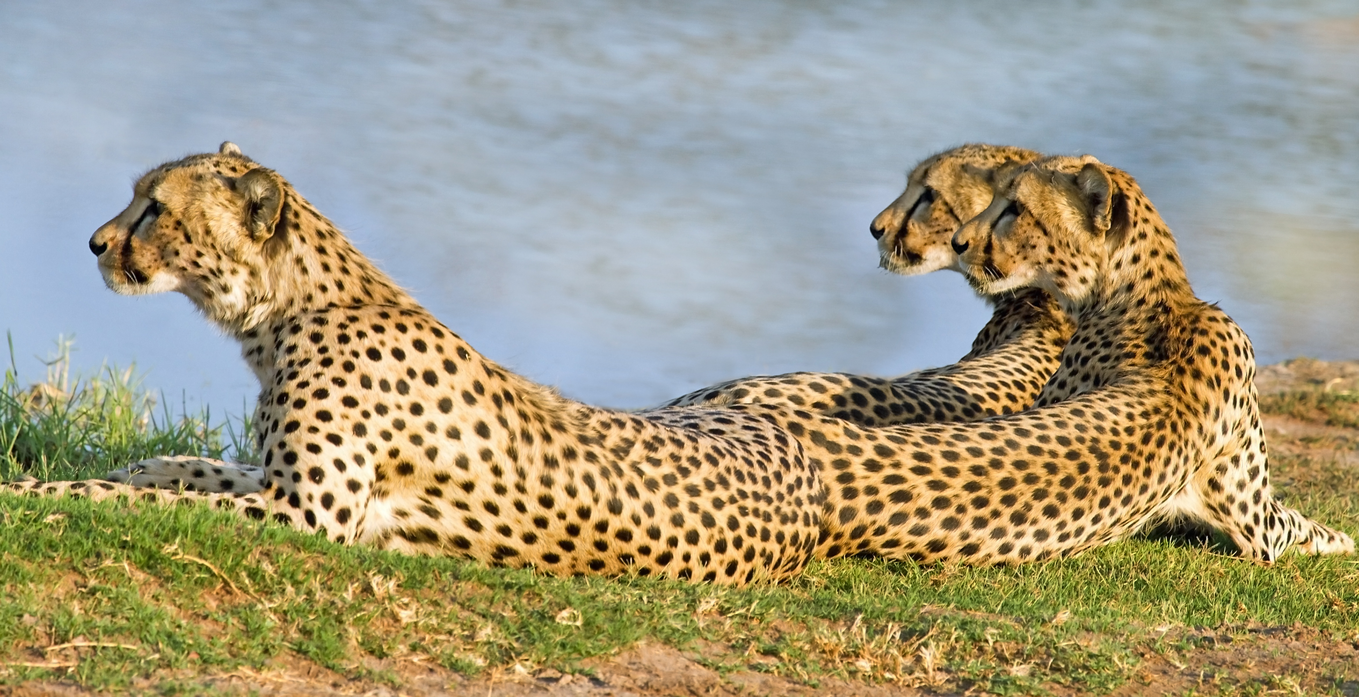 Africa Safari and beach