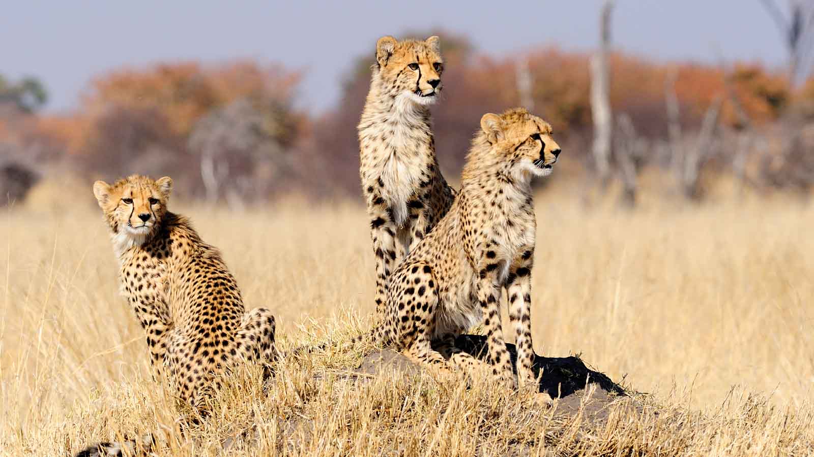 Hwange National Park - 9