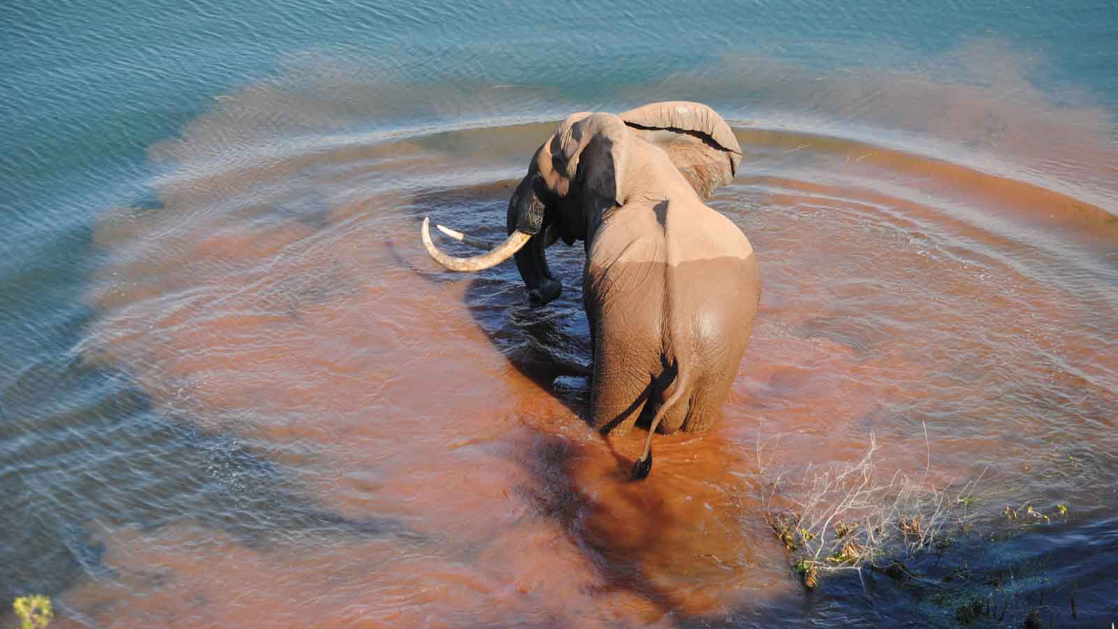 Africa Safari and beach