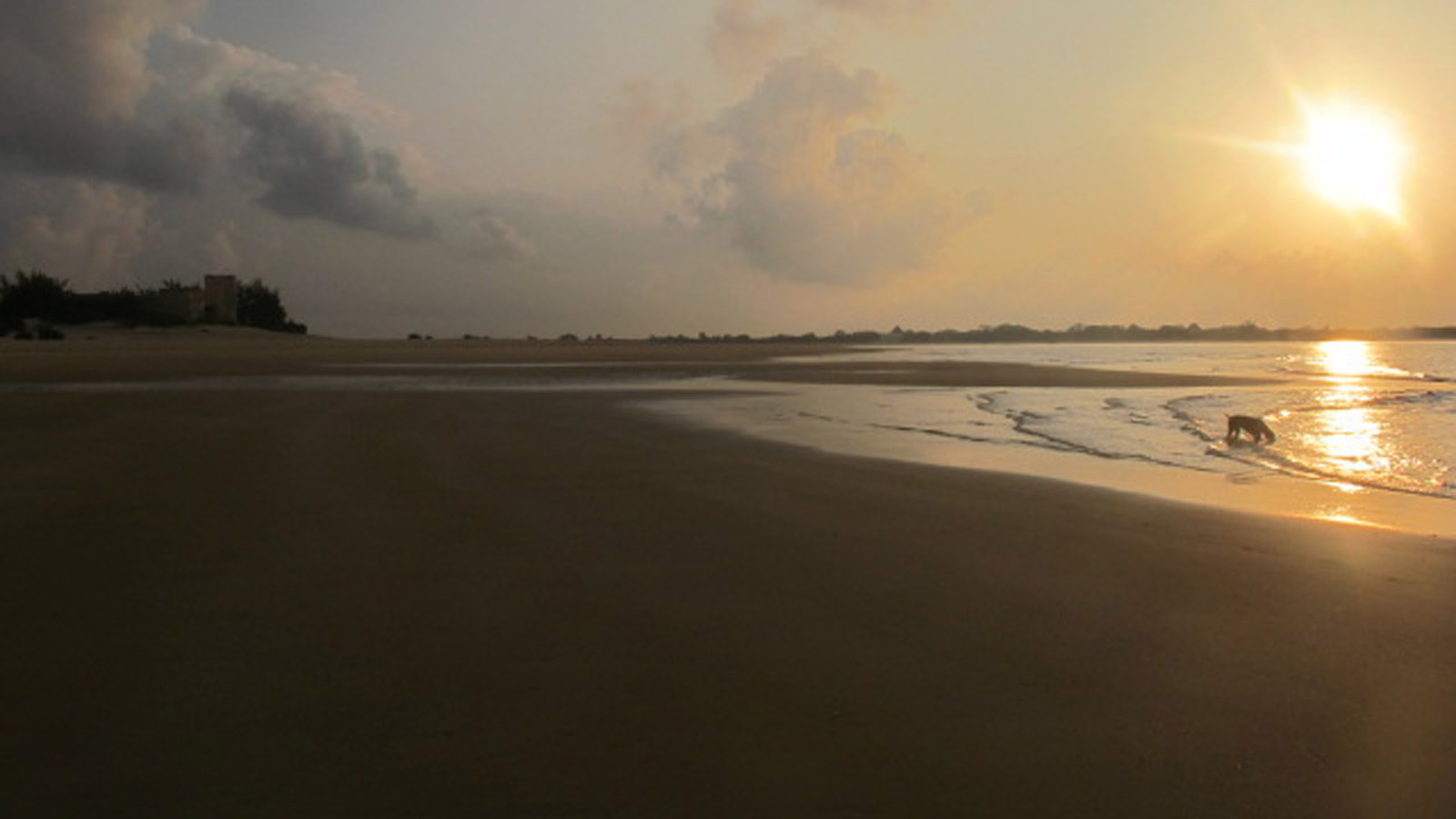 Africa Honeymoon