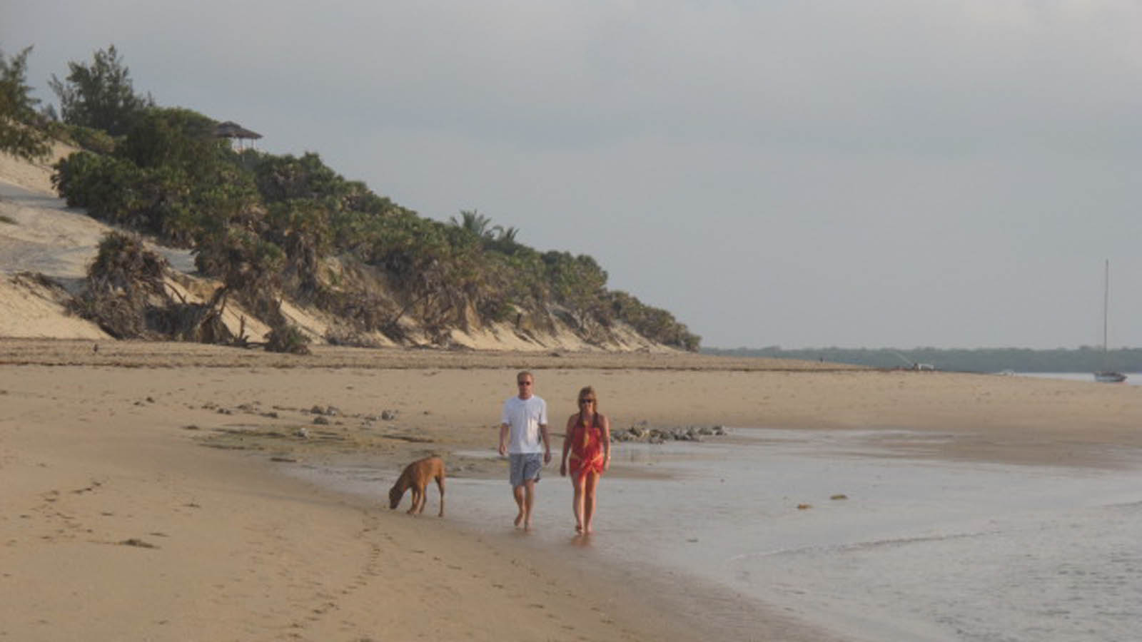 Africa Safari and beach