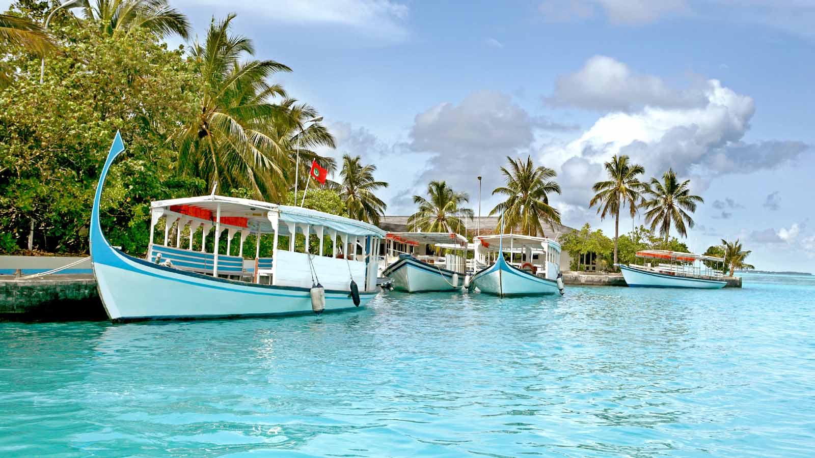 Africa Safari and beach
