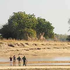 North Luangwa