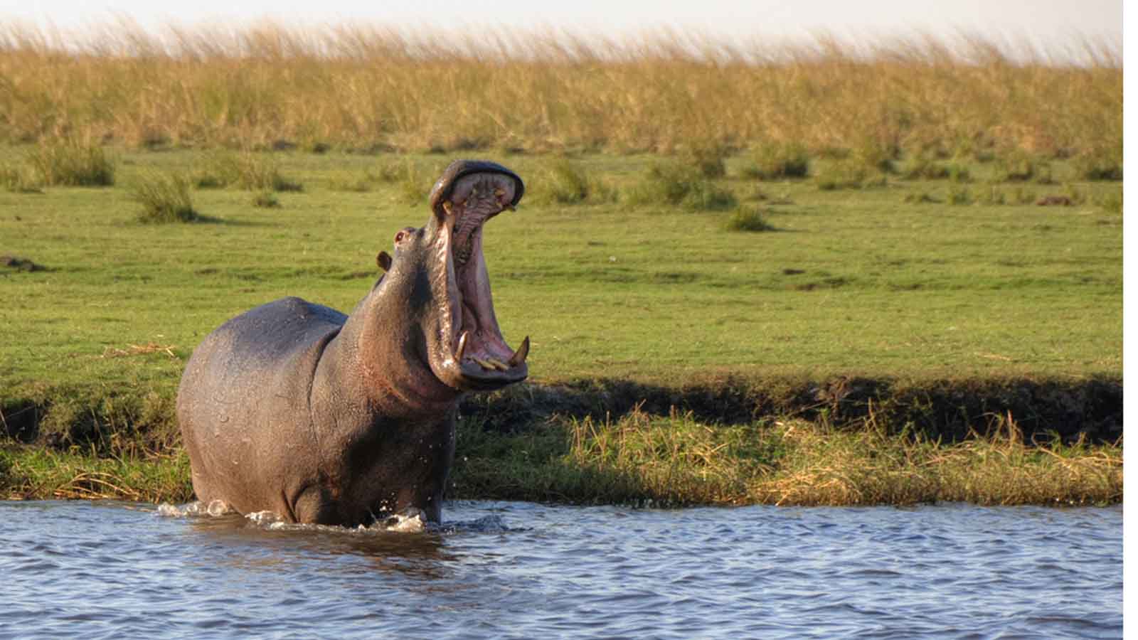 Africa Safari and beach