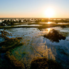 Okavango Delta Safaris