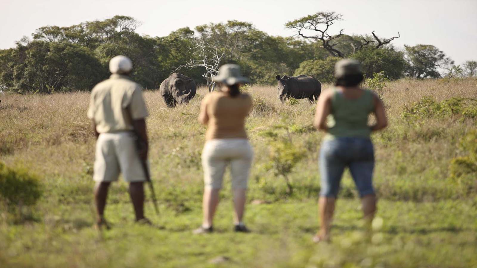 Africa Safari and beach
