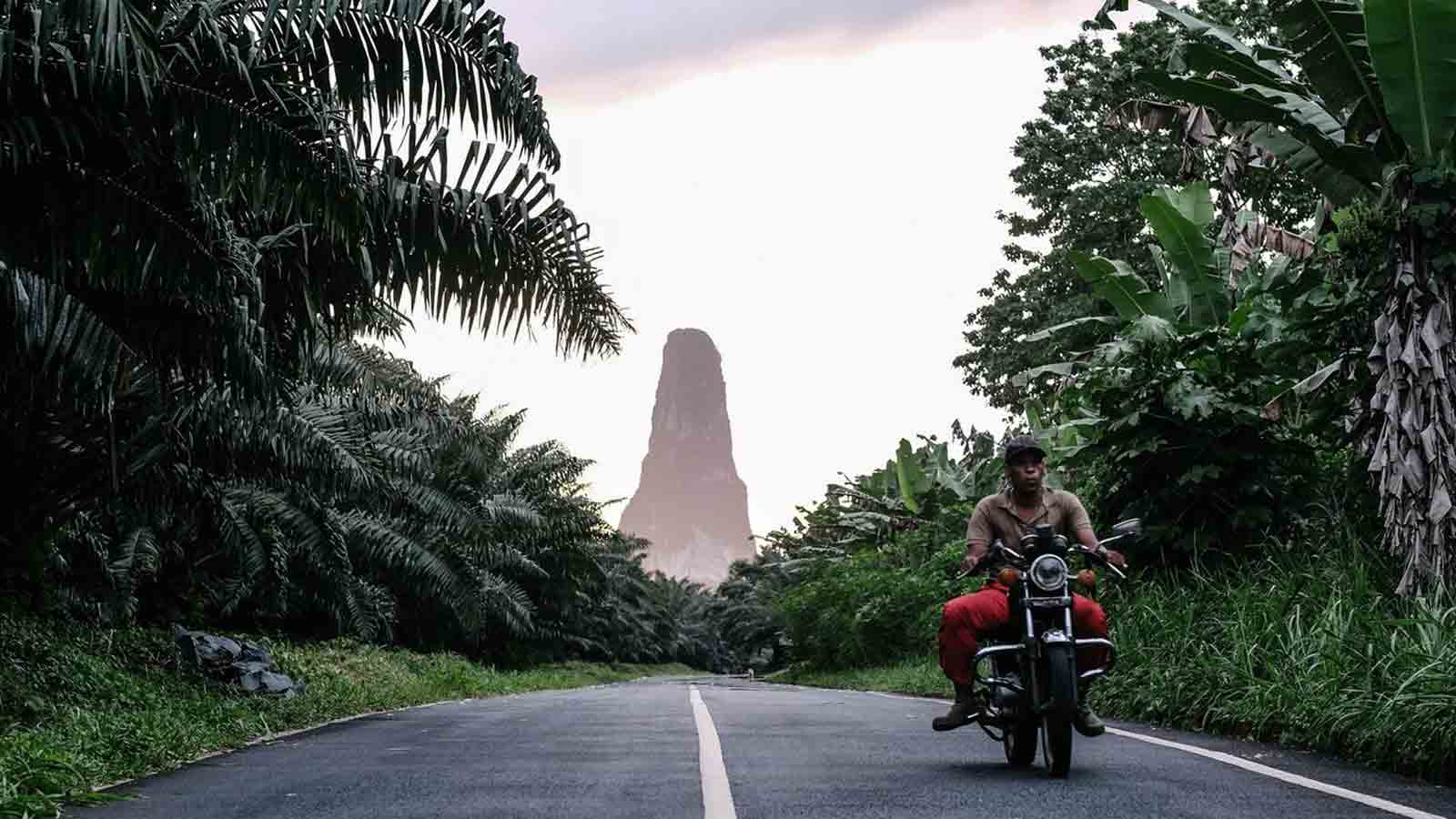 Africa Safari and beach