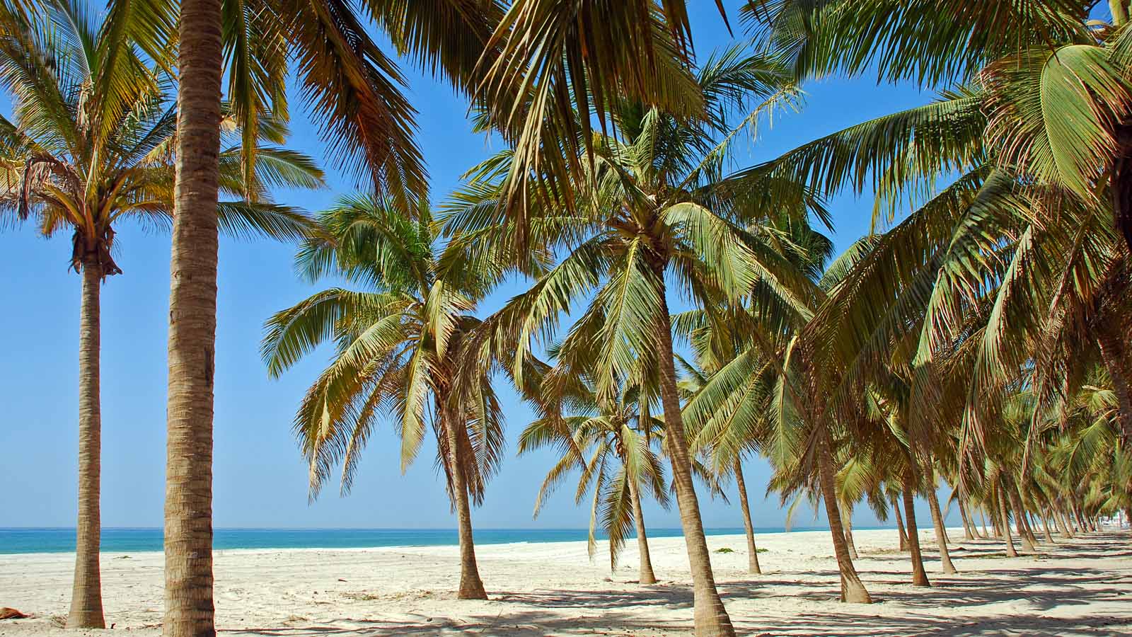 Africa Safari and beach