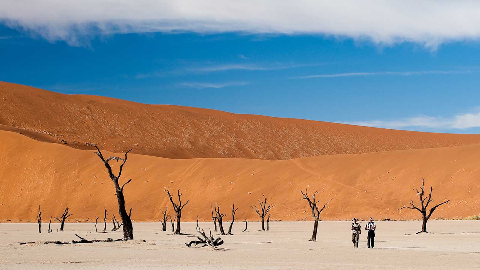 Africa Safari and beach