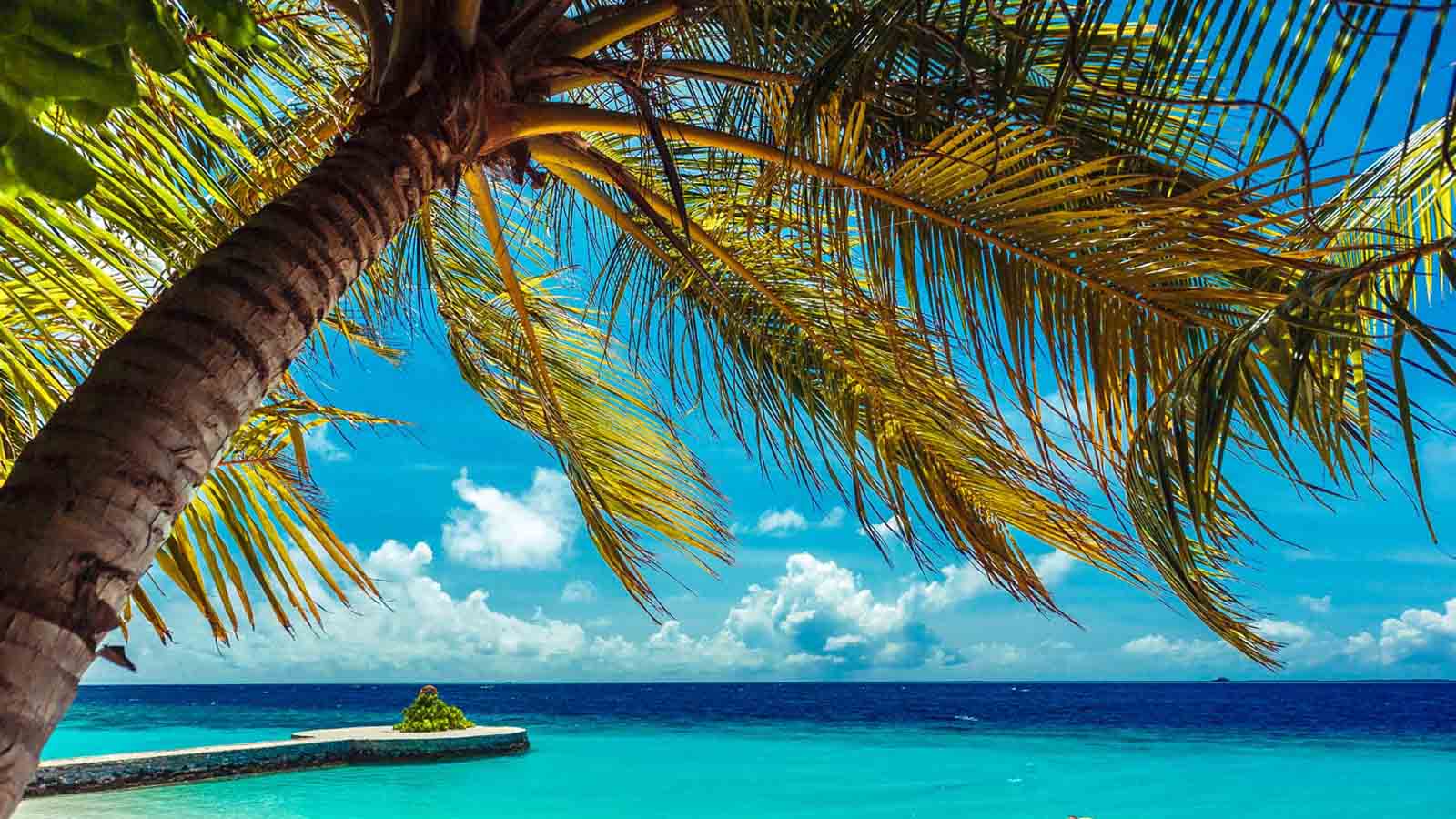 Africa Safari and beach