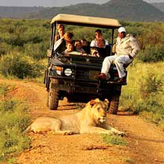 Madikwe
