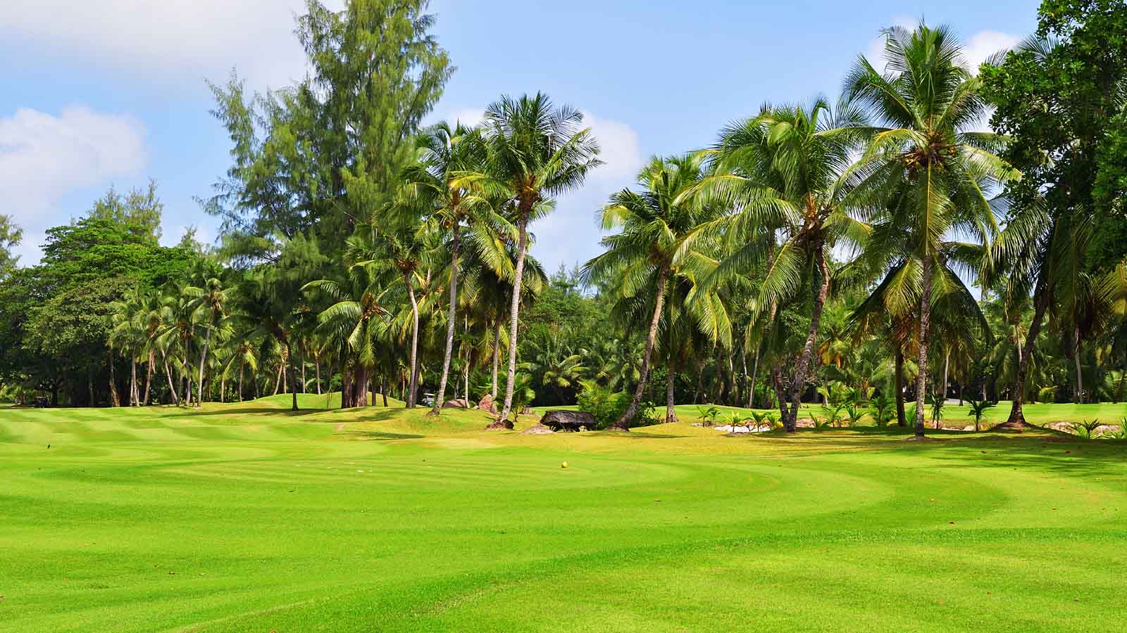 Africa Safari and beach