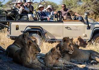 Botswana Safari Tours