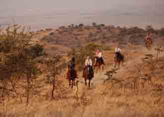 Kenya Safari Tours and Packages