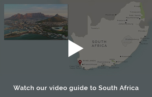 South Africa safari planning with the experts